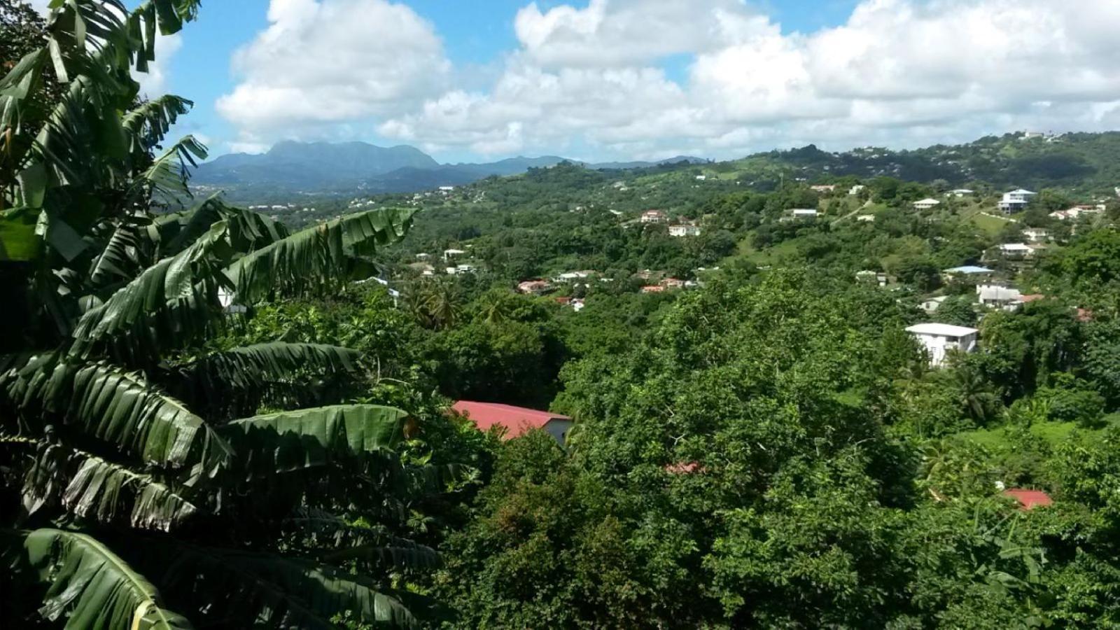 Studio Brazilia Bois Et Nature, Terrasse Avec Vue Sur Les Pitons ル・ロベール エクステリア 写真